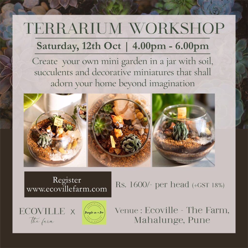 This is Image, giving all the necessary information about our terrarium workshop happening on the 12th of October, Saturday. also mentioned about the price for it, duration, and other details. 